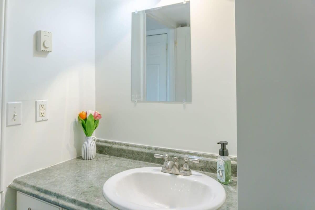 Amazing Location In Saint John 2 Bedroom Modern Parking New Exterior photo